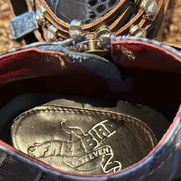 Freebird by Steven Saloon - Picture 8 of 8